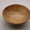 Elegant Gum Bowl